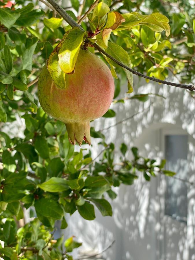 Maria Elena - Suite Home Mykonos Town Zewnętrze zdjęcie